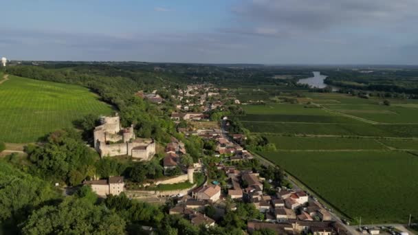 Luchtfoto Bordeaux Wijngaard Bij Zonsopgang Film Van Drone Zomer Entre — Stockvideo