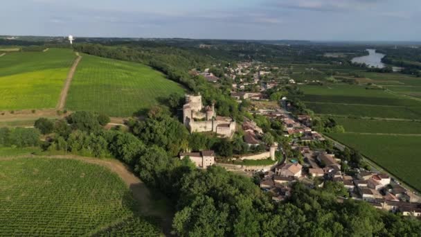 Vue Aérienne Vignoble Bordeaux Lever Soleil Film Par Drone Été — Video