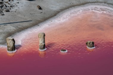 Ahşap kazıklar tuzlu ve pembe tuzlu suyla aşınmış, Camargue, Salin de Guiraud, Fransa, yüksek kaliteli fotoğraf