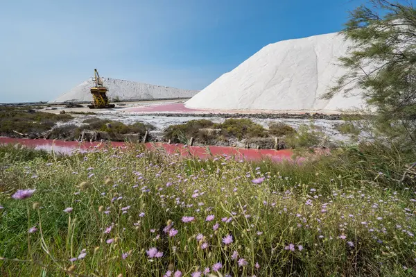 Pink Ponds Man Made Salt Evaporation Pans Camargue Salin Guiraud — Stockfoto