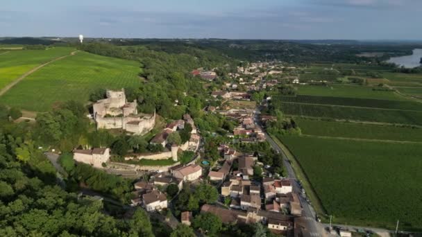 Luchtfoto Bordeaux Wijngaard Bij Zonsopgang Film Van Drone Zomer Entre — Stockvideo