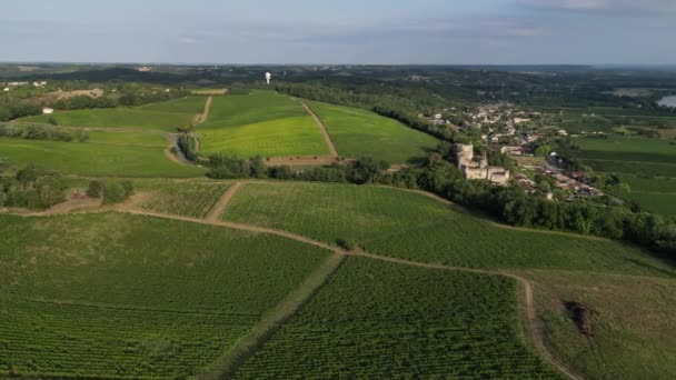 Vista Aérea Bordeaux Vineyard Nascer Sol Filme Por Drone Verão — Vídeo de Stock