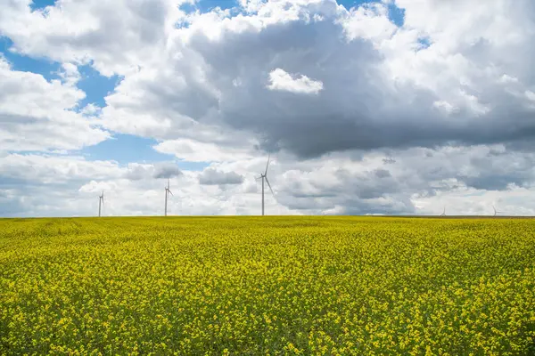 stock image Windmills for electric power surrounded by a rapeseed field against a cloudy sky, Energy Production with clean and Renewable Energy, High quality photo