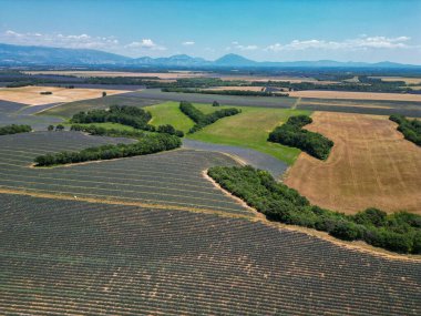 Fransa 'nın güneyindeki Alpes-de-Haute-Provence platosundaki lavanta tarlalarının hava görüntüsü. Yüksek kalite fotoğraf