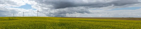 Windmills for electric power surrounded by a rapeseed field against a cloudy sky, Energy Production with clean and Renewable Energy, High quality photo