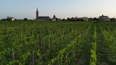 Nouvelle Aquitaine France 'da şarap üreten Pomerol şarabının havadan görünüşü, üzüm bağı tarlaları, yüksek kalitede 4K görüntü.