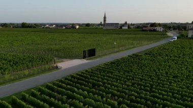 Nouvelle Aquitaine France 'da şarap üreten Pomerol şarabının havadan görünüşü, üzüm bağı tarlaları, yüksek kalitede 4K görüntü.