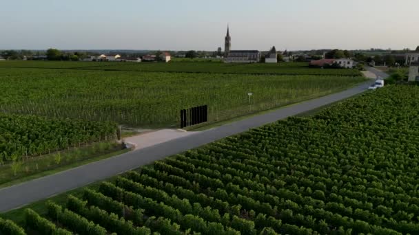 Nouvelle Aquitaine France Şarap Üreten Pomerol Şarabının Havadan Görünüşü Üzüm — Stok video