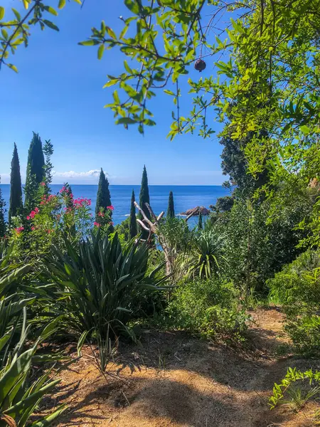 Botanik bahçesinden denize bak Marimurtra, Blanes, Katalonya. Yüksek kalite fotoğraf