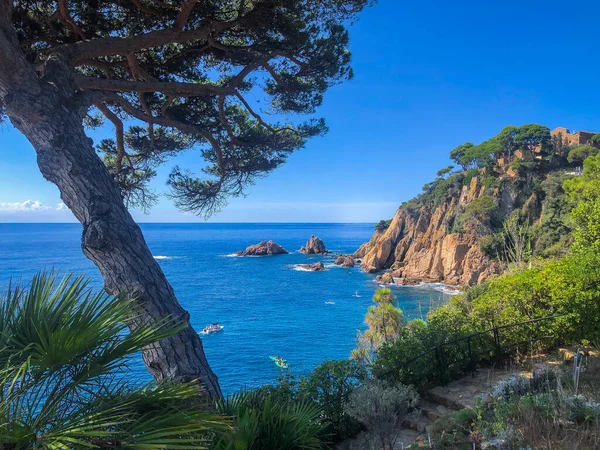 stock image View to the sea from the botanical garden Marimurtra, Blanes, Catalonia. High quality photo