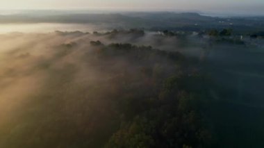 Rions, Gironde, Fransa sisli üzüm bağlarının hava manzarası. Yüksek kalite 4k görüntü