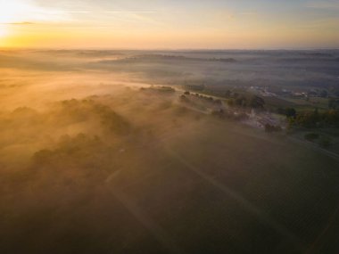 Rions, Gironde, Fransa sisli üzüm bağlarının hava manzarası. Yüksek kalite fotoğraf