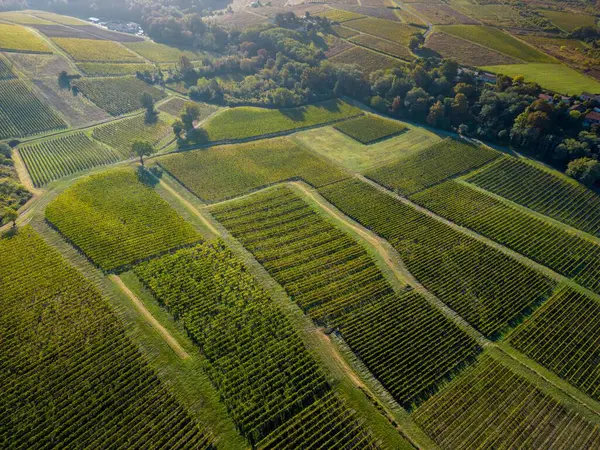 France Gironde Loupiac Aerial View Loupiac Village Its Vineyard Aoc — Stock Photo, Image