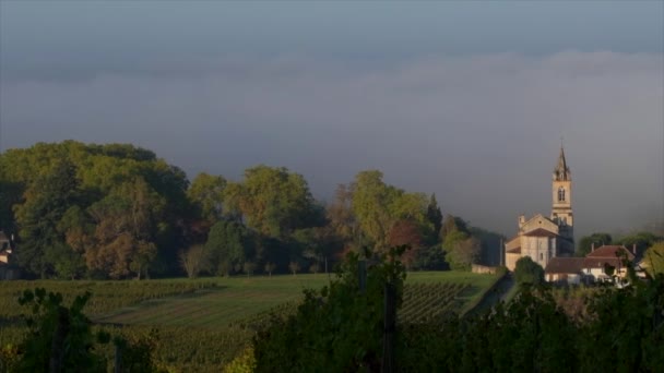 Francia Gironda Loupiac Village Loupiac Vineyard Cadillac Cotes Bordeaux Aoc — Vídeo de stock