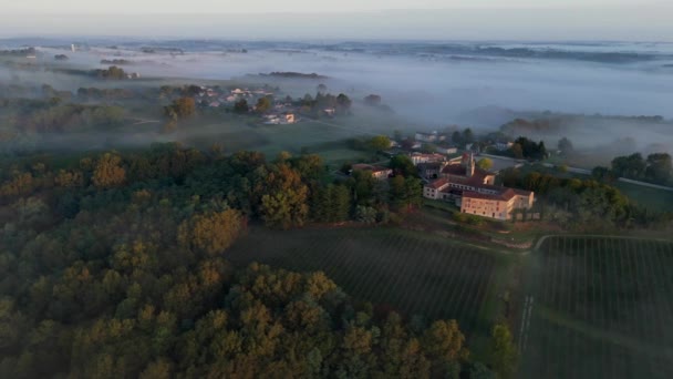 Vedere Aeriană Podgoriei Sub Ceață Rions Gironde Franța Înregistrare Înaltă — Videoclip de stoc