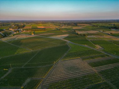 Hava manzaralı Bordeaux Vineyard, Entre deux mers, Gironde. Yüksek kalite fotoğraf