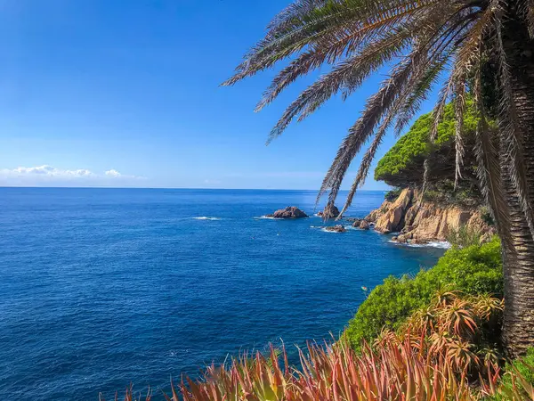 Вид Море Ботанического Сада Маримуртра Бланс Каталония Высокое Качество Фото — стоковое фото
