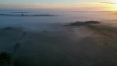 Rions, Gironde, Fransa sisli üzüm bağlarının hava manzarası. Yüksek kalite 4k görüntü