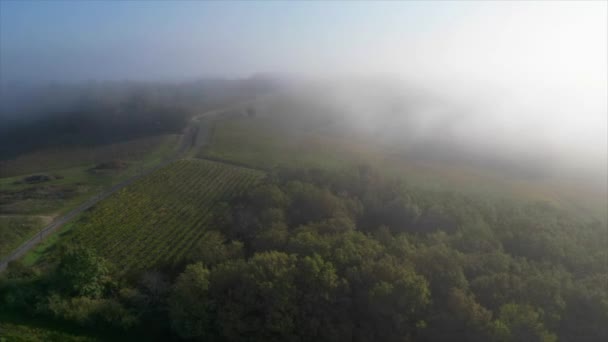 Vedere Aeriană Podgoriei Sub Ceață Langoiran Gironde Franța Filmare Înaltă — Videoclip de stoc