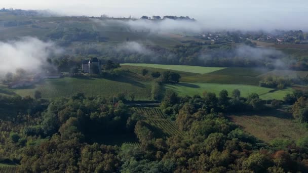 Vista Aérea Vinha Sob Nevoeiro Langoiran Gironde França Imagens Alta — Vídeo de Stock