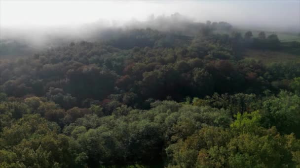 法国吉隆德Langoiran葡萄园被雾笼罩的空中景观 高质量的4K镜头 — 图库视频影像