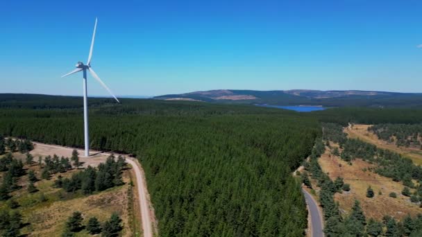 Aerial Drone View France Forest Landscape Wind Turbines Generating Clean — Stock Video
