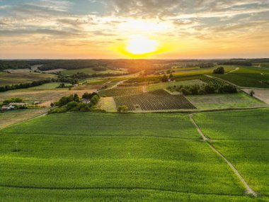 Gün doğumunda hava harekatı, Entre deux mers, Gironde. Yüksek kalite fotoğraf