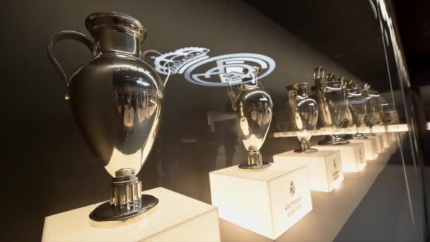 2023年11月18日 Uefaチャンピオンズリーグカップ サンティアゴ バーナベウ スタジアムのレアル マドリード サッカークラブで優勝した 高品質の4K映像 — ストック動画