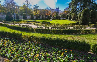 Madrid, İspanya, Buen Retiro Parkı, Botanik Bahçesi, ağaçlarla ve çalılarla dolu park, manzara tasarımı, yeşil ağaç ve dekoratif çalı. Yüksek kalite fotoğraf