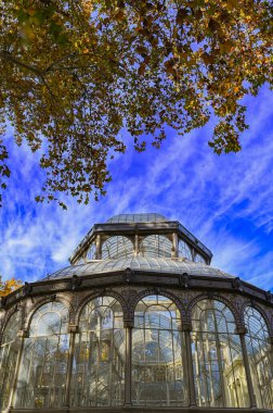 Madrid, İspanya - 18 Kasım 2023, Palacio de Cristal Panorama, Glass Palace, Madrid, Buen Retiro Park, İspanya. Yüksek kalite fotoğraf