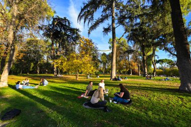 Madrid, İspanya, Buen Retiro Parkı, Botanik Bahçesi, ağaçlarla ve çalılarla dolu park, manzara tasarımı, yeşil ağaç ve dekoratif çalı. Yüksek kalite fotoğraf