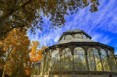 Madrid, İspanya - 18 Kasım 2023, Palacio de Cristal Panorama, Glass Palace, Madrid, Buen Retiro Park, İspanya. Yüksek kalite fotoğraf