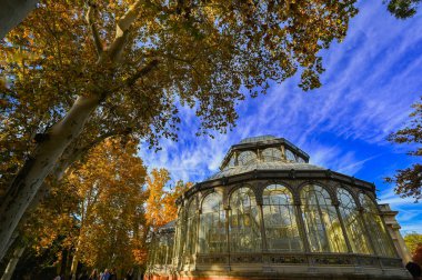 Madrid, İspanya - 18 Kasım 2023, Palacio de Cristal Panorama, Glass Palace, Madrid, Buen Retiro Park, İspanya. Yüksek kalite fotoğraf