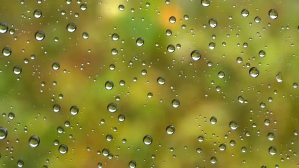 Close Water Droplets Windows Glass Rain High Quality Footage — Stock Video