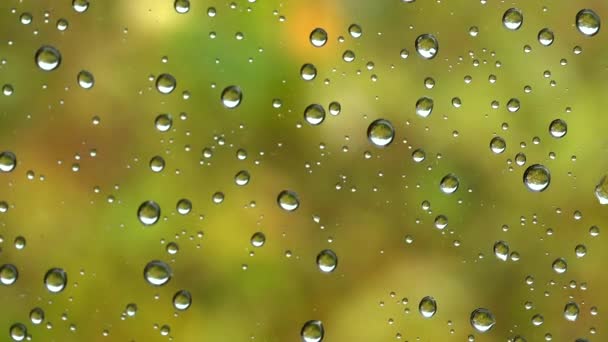 Närbild Vattendroppar Fönster Glas Regn Hög Kvalitet Bilder — Stockvideo