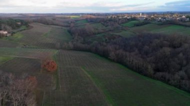Kışın Bordeaux üzüm bağları, manzara bağları, yüksek kaliteli 4K görüntüler.
