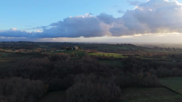 Luftaufnahme Bordeaux Weinberg Winter Landschaft Weinberg Hochwertiges Filmmaterial — Stockvideo