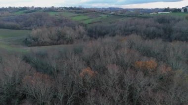 Bordeaux Vineyard kışın hava manzaralı, Entre deux mers, Langoiran. Yüksek kalite 4k görüntü