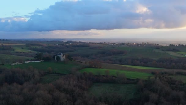 Luftaufnahme Weinberg Bordeaux Winter Entre Deux Mers Langoiran Hochwertiges Filmmaterial — Stockvideo