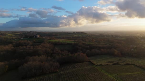 Widok Lotu Ptaka Bordeaux Zimą Winnica Krajobrazowa Wysokiej Jakości Materiał — Wideo stockowe