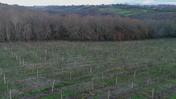 Luchtfoto Bordeaux Wijngaard Winter Entre Deux Mers Langoiran Hoge Kwaliteit — Stockvideo