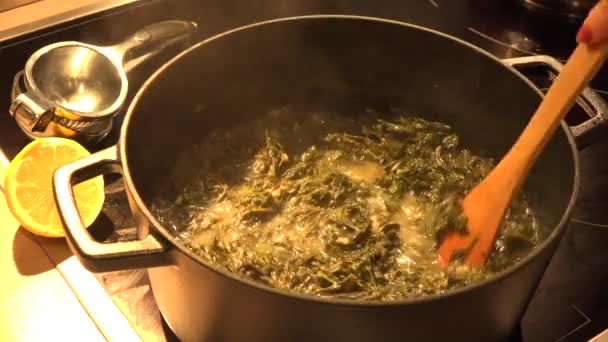 Cocinar Una Olla Mouloukhia Libanés Melokhiyah Hoja Corete Pollo Arroz — Vídeo de stock