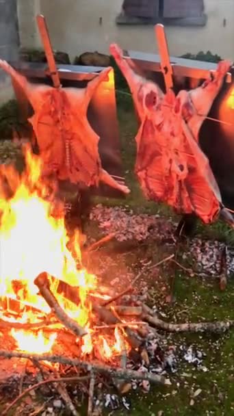 전통적인 아르헨티나 아사도 양고기와 돼지는 느리게 요리하고 파타고니아 아르헨티나 프랑스 — 비디오