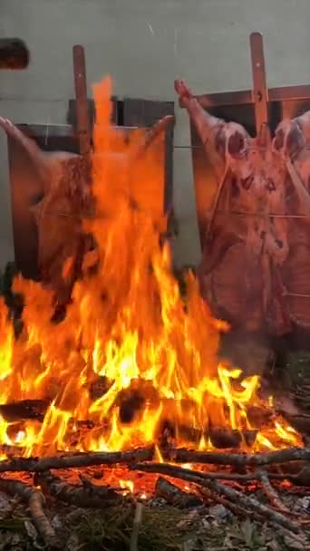 伝統的なアルゼンチンのアサド ブタレットは木製の火でゆっくり調理され スパイシーなチンキアリソース パタゴニア アルゼンチン フランス 高品質のフルHd映像でブラシをかけました — ストック動画