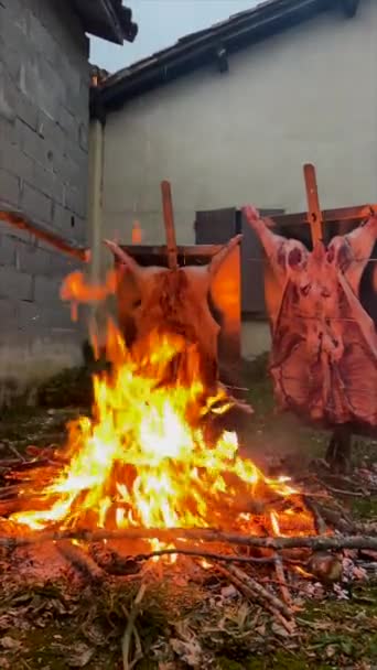 Традиционный Аргентинский Асадо Ягненок Поросенок Медленно Приготовленные Дровяном Костре Щеткой — стоковое видео
