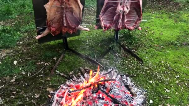Geleneksel Arjantin Asado Kuzu Domuz Eti Odun Ateşinde Yavaş Pişirilmiş — Stok video