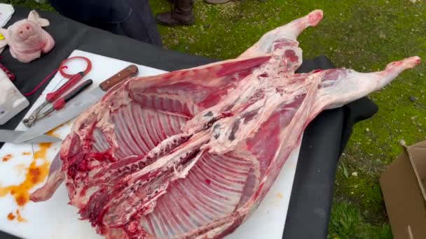 传统的阿根廷山羊肉 用木柴慢火烹调的羊肉 用辛辣的辣椒酱刷过 巴塔哥尼亚 阿根廷 高质量的Fullhd胶卷 — 图库视频影像
