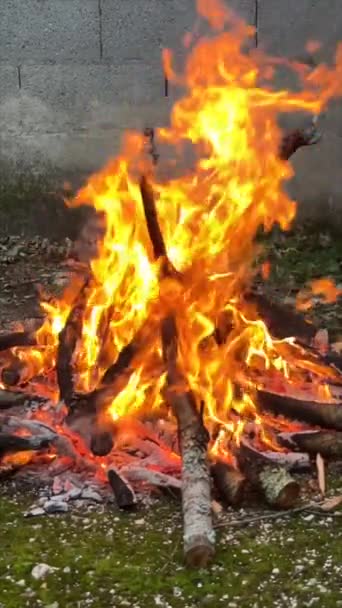 Tradicional Asado Argentino Cordero Lechón Cocinado Lentamente Sobre Fuego Leña — Vídeos de Stock