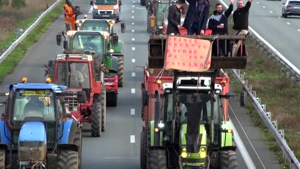 France Bordeaux Janvier 2024 Manifestation Des Agriculteurs Blocus Place Péage — Video