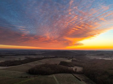 Bordeaux üzüm bağının kışın Rions, Gironde, Fransa 'daki hava manzarası. Yüksek kalite fotoğraf